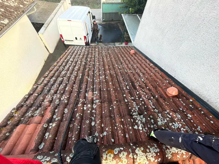 Toiture couverte de mousses avant démoussage
